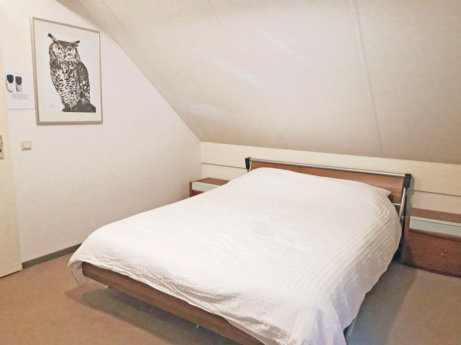 Vakantiepark 'T Broeckhuys Hotell Ewijk Rom bilde